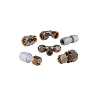 Ape szor. gyűrűs idomok